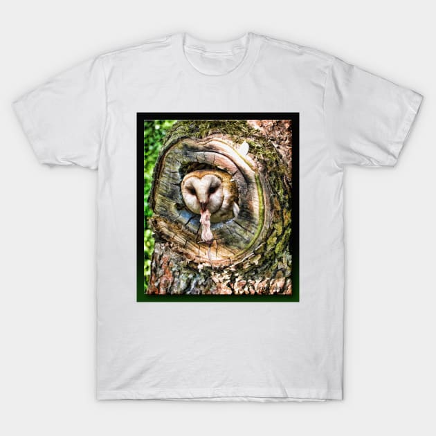 Dinner T-Shirt by rgerhard